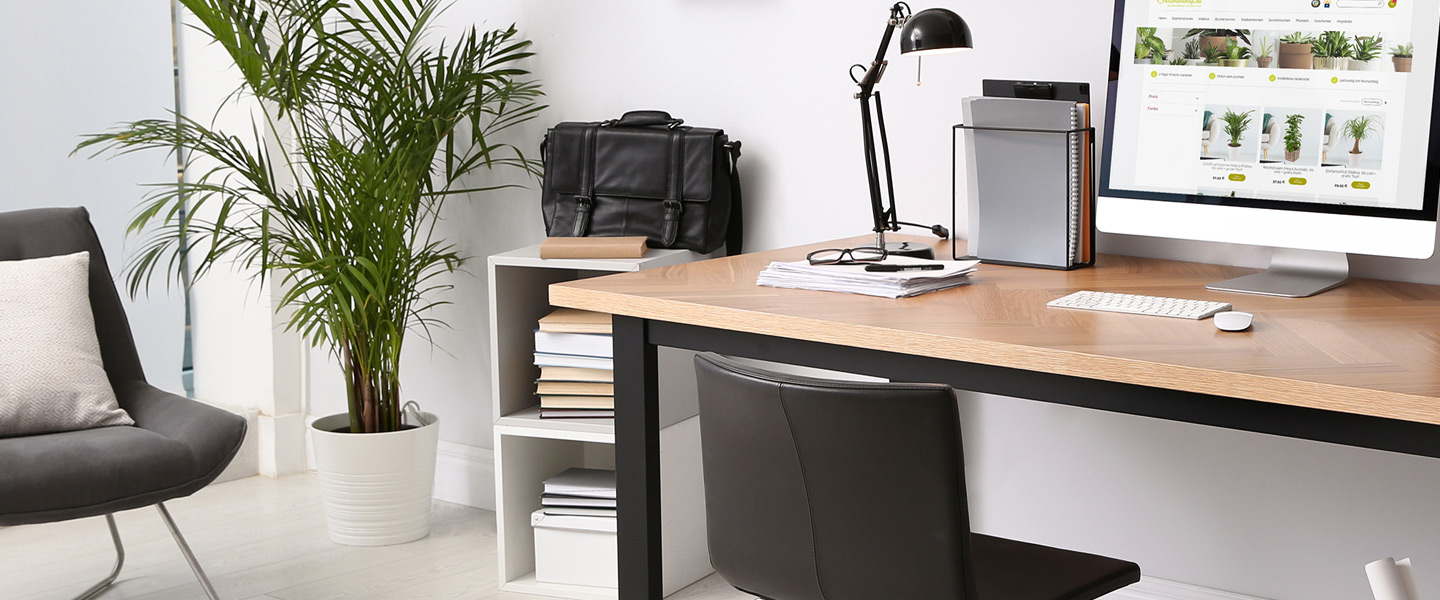 Die besten Pflanzen für dein Büro oder Home-Office