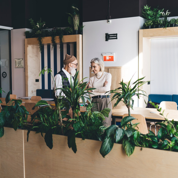 Pflanzen im Büro Pflanzen im Büro