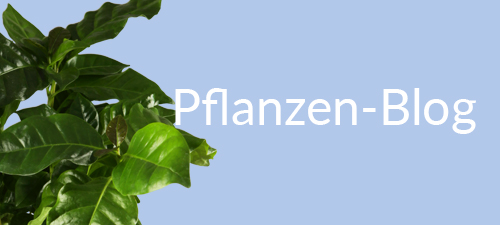 Pflanzen-Blog