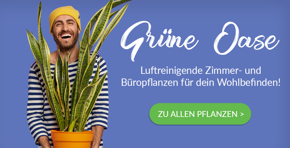 Pflanzen online kaufen